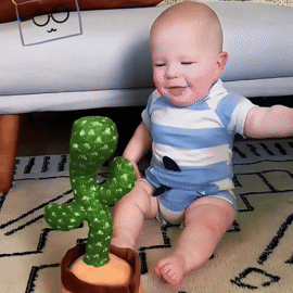 Cactus Bailarín Repetidor Voz