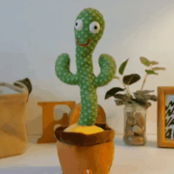 Cactus Bailarín Repetidor Voz